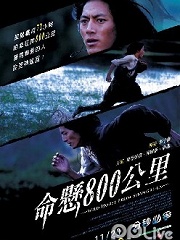 命悬800公里